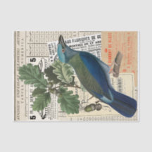 Blauer Vogel | Eichen-Ephemera-Decoupage-Vintage-C