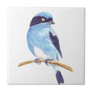 Blauer Vogel Fliese