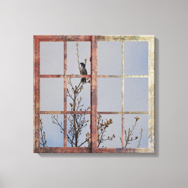 Blauer Vogel im Fenster Leinwanddruck (Vorderseite)