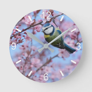 Blauer Vogel in rosafarbenen, japanischen Kirschbl Runde Wanduhr
