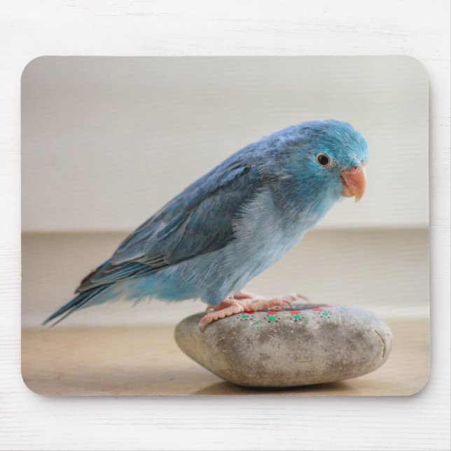 Blauer Vogel Mousepad (Vorne)