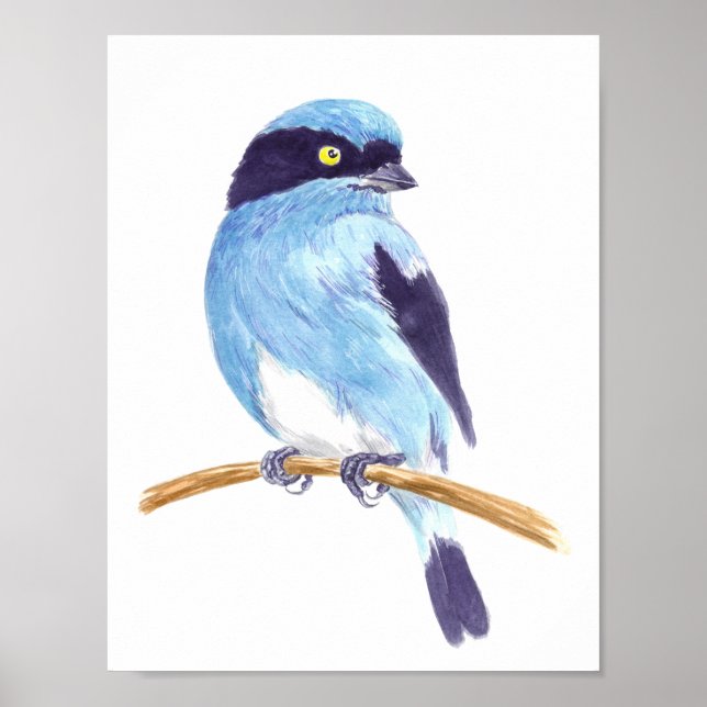Blauer Vogel Poster (Vorne)