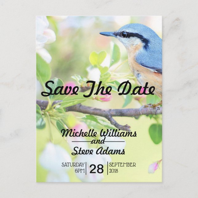 Blauer Vogel Save the Date Ankündigungspostkarte (Vorderseite)