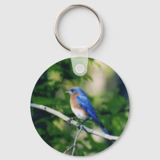 Blauer Vogel Schlüsselanhänger