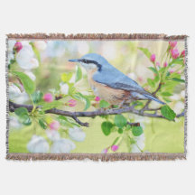 Blauer Vogel und Blüten von Apple