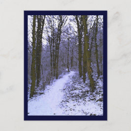 Blauer Wald im Schnee Postkarte