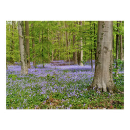 Blauer Wald mit bläulichen Blume Poster