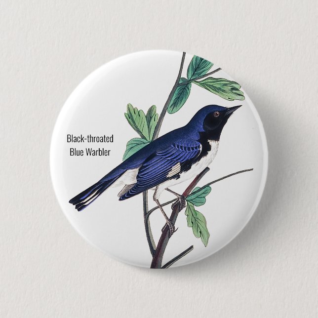 Blauer Warbler, Audubon, Vogel-Button, Button (Vorderseite)