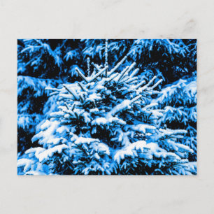 Blauer Weihnachtsbaum, Schnee Postkarte