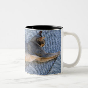 Blaues Abessinier-Männchen gestoppt Zweifarbige Tasse