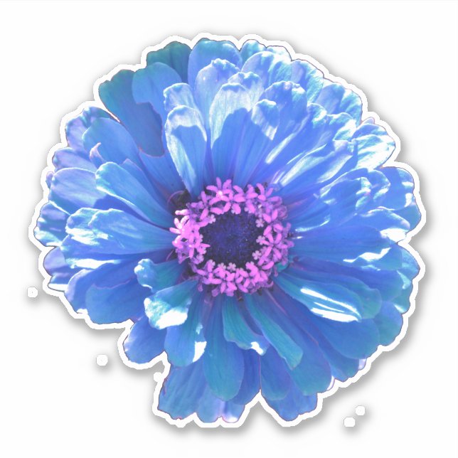 Blaues blaues blühendes Foto Aufkleber (Vorderseite)