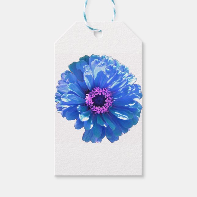 Blaues blaues blühendes Foto Geschenkanhänger (Vorderseite)