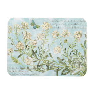 Blaues botanisches magnet