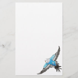 Blaues Budgerigarparakeet-Briefpapier Briefpapier