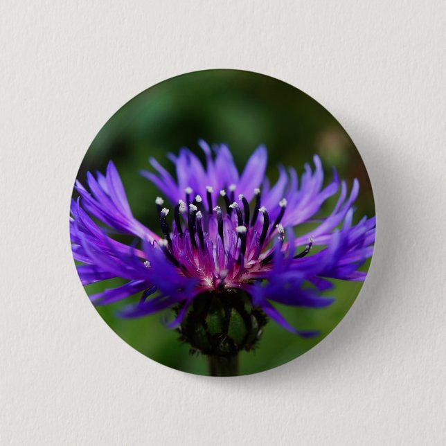 Blaues Button (Vorderseite)