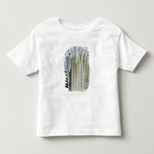 Blaues Eis und abfließendes Grundwasser; Tahquamen Kleinkind T-shirt