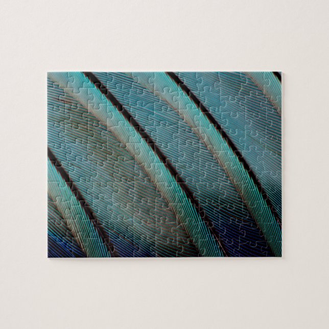 Blaues Feder Muster (Horizontal)
