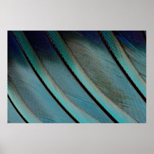 Blaues Feder Muster Poster