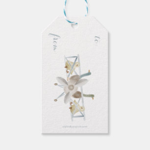 Blaues Flugzeug-Geschenk-Tag Geschenkanhänger