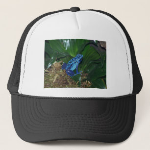 Blaues Gift-Pfeil-Frosch-Porträt Truckerkappe