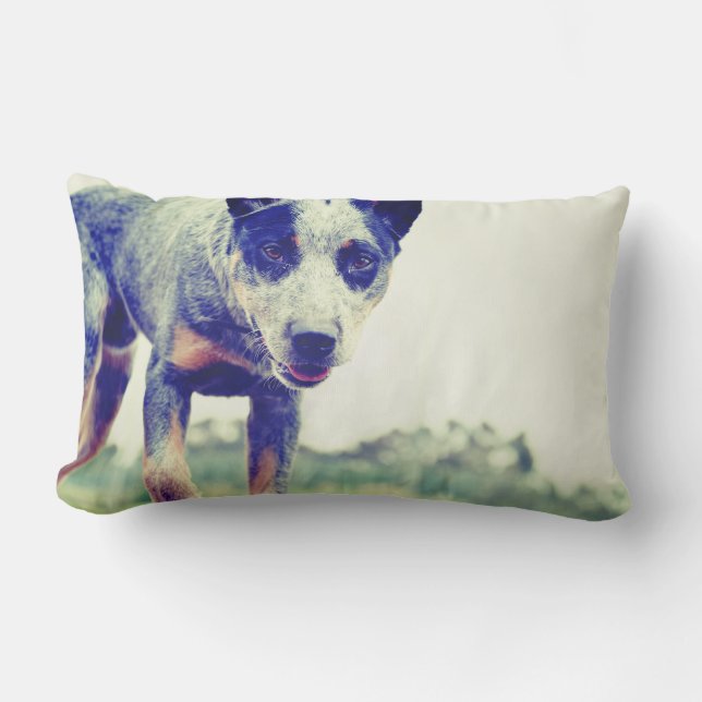 Blaues Heeler Lendenkissen (Vorderseite)
