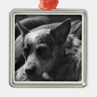 Blaues Heeler Ornament Aus Metall