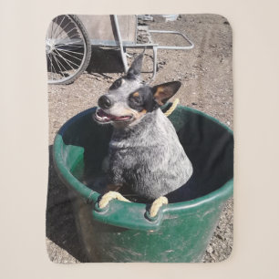 Blaues Heeler Sherpadecke