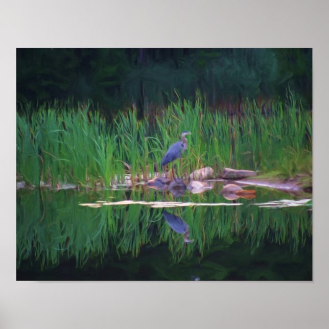 Blaues Heron Natur Foto Malerei Poster (Vorne)