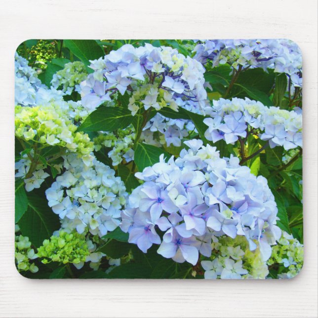 Blaues Hydrangea-Blumen-Garten Pastellmousepad Mousepad (Vorne)