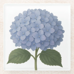 Blaues Hydrangea-Botanisches Illustrationsdesign Glasuntersetzer