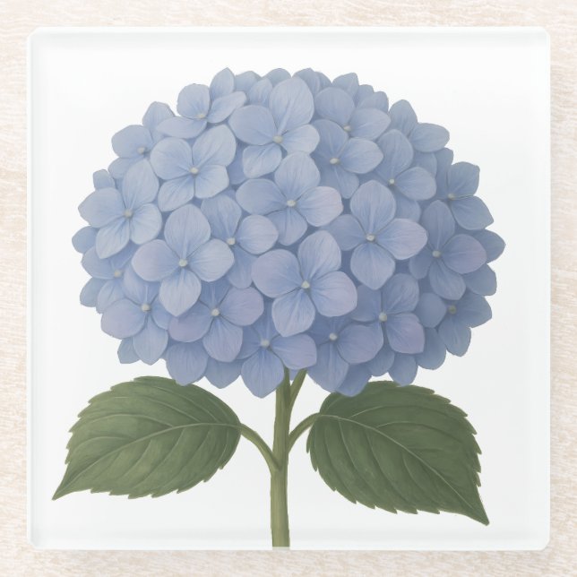 Blaues Hydrangea-Botanisches Illustrationsdesign Glasuntersetzer (Vorderseite)
