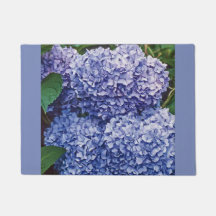 Blaues Hydrangea