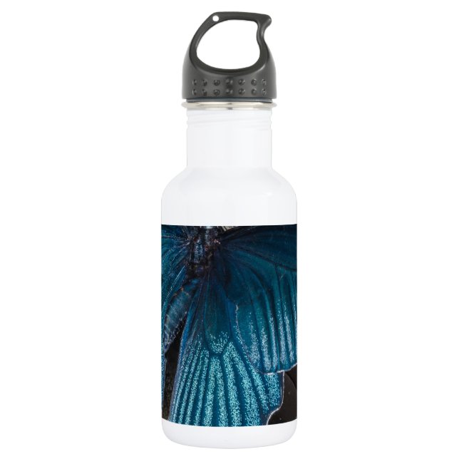 blaues Insekt des Schmetterlinges, das schöne Trinkflasche (Vorderseite)