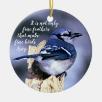 Blaues Jay auf Posten-Tier-Fotografie-Natur