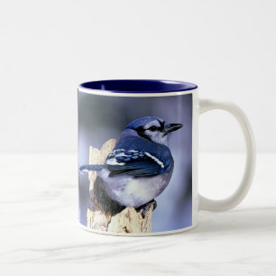 Blaues Jay, blaues Jay Zweifarbige Tasse
