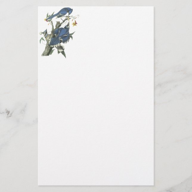 Blaues Jay, John Audubon Briefpapier (Vorderseite)