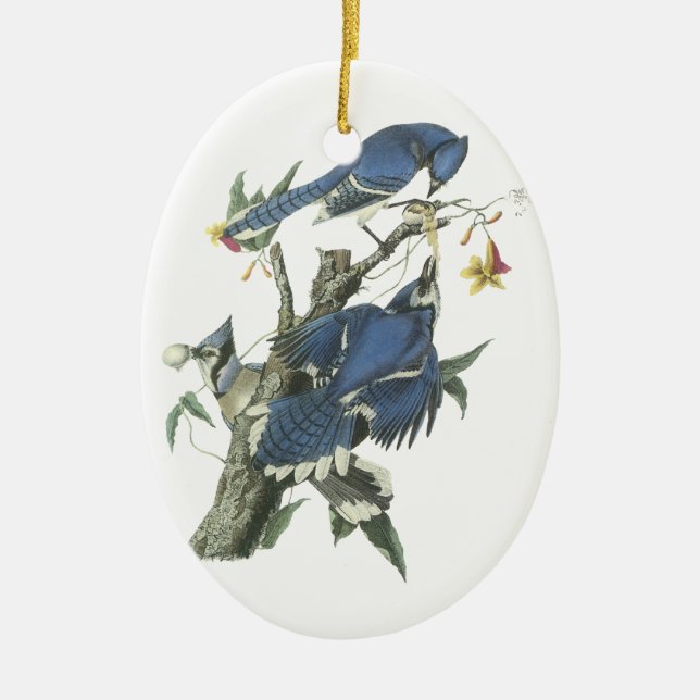 Blaues Jay, John Audubon Keramik Ornament (Vorne)