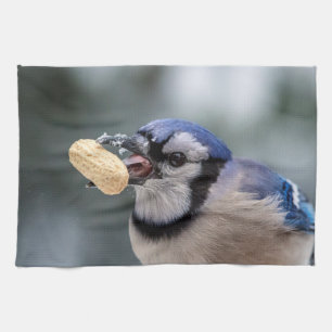 Blaues Jay mit einer Erdnuss Handtuch