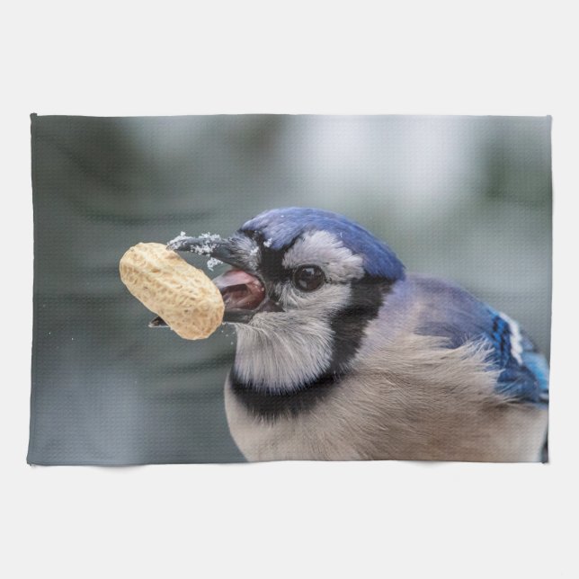 Blaues Jay mit einer Erdnuss Handtuch (Horizontal)