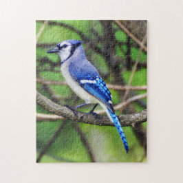 Blaues Jay-Puzzlespiel