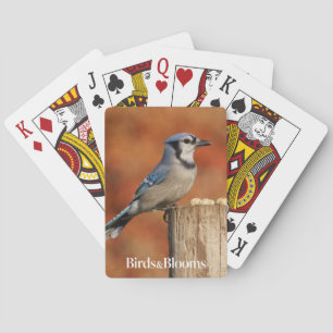 Blaues Jay Spielkarten