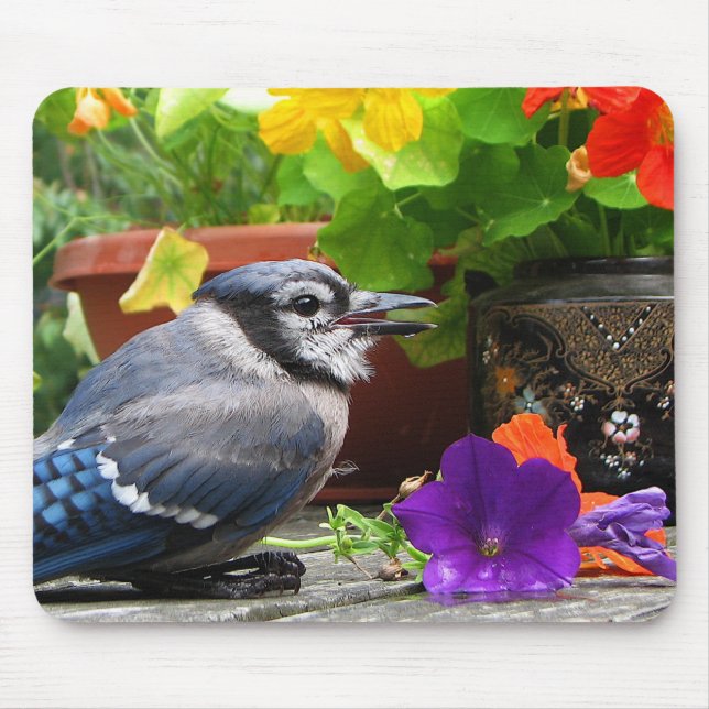 Blaues Jay und Blumen Mousepad (Vorne)