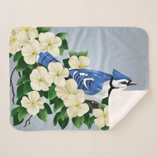 Blaues Jay unter Hartriegel-Blumen Sherpadecke