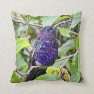 Blaues Kolibri-Foto Kissen