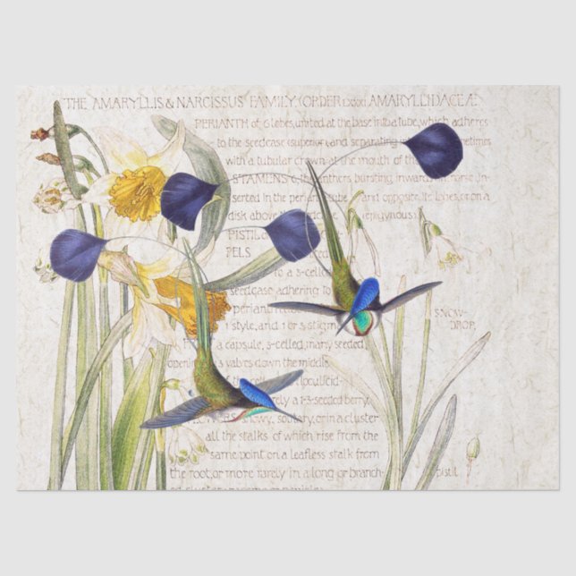 Blaues Kolibri-Vogel-Narzissen-Blumen-Seidenpapier Seidenpapier (Vorderseite)