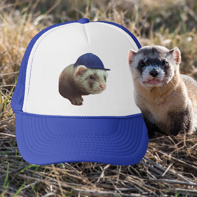 Blaues Kopfbedeckungs-Foto Truckerkappe (Ferret Wearing Blue Headgear Photo Trucker Hat)