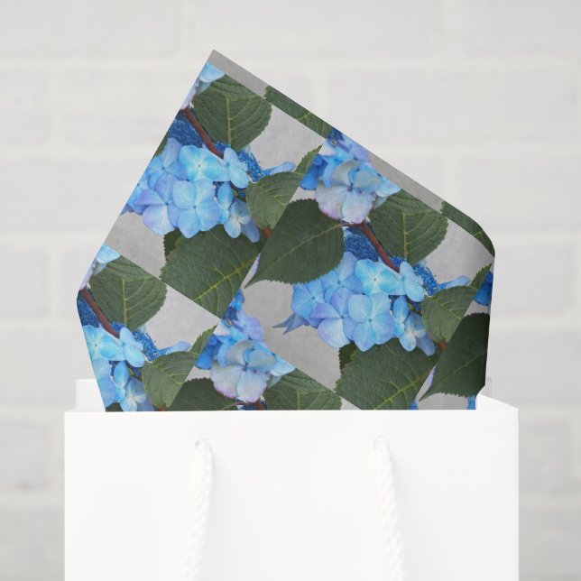 Blaues Lacecap Hydrangea Blumenmuster Gewebe Papie Seidenpapier (Geschenktüte)