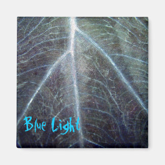 Blaues Licht Magnet