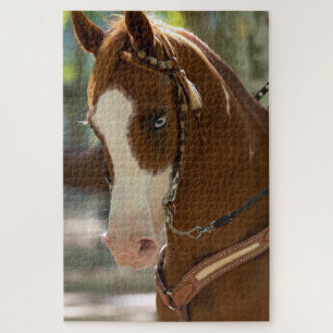 Blaues Mit Augen Arabisches Pferd