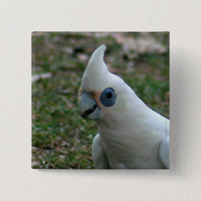 Blaues Mit Augen Cockatoo Button (Vorderseite)